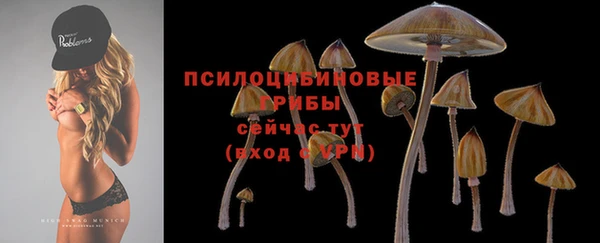 стафф Лиски